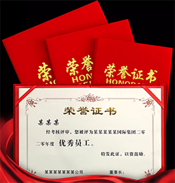 荣誉证书封皮证件书优秀员工学生奖状内芯打印获奖荣誉征书定制结业证书外壳高档企业聘书证书框运动比赛奖励